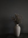 Dried flower vase.Ekibana art.clay vase with dried flowers on a dark background in the interior Royalty Free Stock Photo