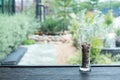 Dried flowers in bottle, Glass bottle is reused to decorate. A rainy day. Royalty Free Stock Photo