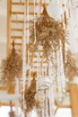 Dried flowers on the ceiling,Lamps on the ceiling to decorate Royalty Free Stock Photo