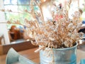 dried flowers decorating watering can on wood table in coffee shop (cafe Royalty Free Stock Photo