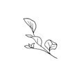 dried flowers, dry grass on a white background,Hand drawn engraving illustration, minimalism style. Ikebana.