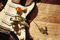 Dried flowers on electric guitar and rare music notes closeup Royalty Free Stock Photo