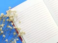 Dried flowers and empty notebook page Royalty Free Stock Photo