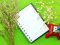 Dried flowers and empty notebook page with decoration Royalty Free Stock Photo