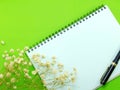 Dried flowers and empty notebook page Royalty Free Stock Photo