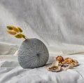 Dried flowers in Handmade Ceramic Vase and Shells on White background Royalty Free Stock Photo