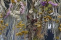 Dried Flowers and Herbs Hanging Royalty Free Stock Photo