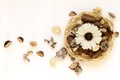 Dried flowers and leaves in wicker basket on white background Royalty Free Stock Photo