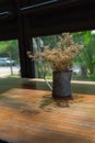 Dry flower on a table by the window. Royalty Free Stock Photo