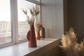 Dried flowers in an old ceramic vase on the window. Sunlight and sun rays fall from the window. Minimalism in the Royalty Free Stock Photo