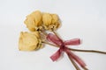 Dried flowers Royalty Free Stock Photo