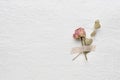 Dried flowers of roses on a white paper. pink. yellow