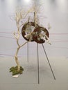 Dried flowers on the show