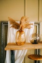 Dried flowers spikelets pampas in a vase on on a wooden console table in living room Royalty Free Stock Photo