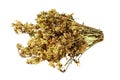 Dried flowers St. John's wort for a useful herbal tea on a white