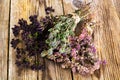 Dried Flowers and Stems of Thyme Royalty Free Stock Photo