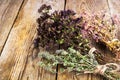 Dried Flowers and Stems of Thyme Royalty Free Stock Photo