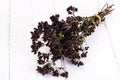 Dried Flowers and Stems of Thyme Royalty Free Stock Photo
