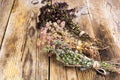 Dried Flowers and Stems of Thyme Royalty Free Stock Photo