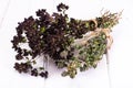 Dried Flowers and Stems of Thyme Royalty Free Stock Photo
