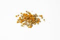 Dried flowers of tansy plant on white background