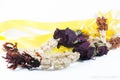 Dried flowers on white background Royalty Free Stock Photo