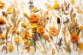 Dried flowers on a white background. Generative AI technology