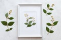 Dried flowers in a white frame. summer natural creative concept. Royalty Free Stock Photo