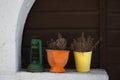 Dried flowers on yellow and orange pots with antiqurustic lamp