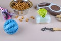 Dried food in a bowl for pets, leash, toys and poop bags