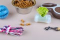 Dried food in a bowl for pets, leash, toys and poop bags