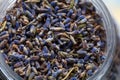 Dried fragrant lavender flowers in a jar. Macro photo of organic herbs Royalty Free Stock Photo