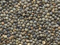 Dried french green puy lentil food background