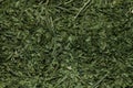 dried fresh green parsley texture