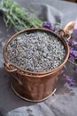 Dried and fresh lavender flowers, ingredients for aroma spa treathment and bodycare for women Royalty Free Stock Photo