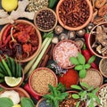 Dried and Fresh Spice and Herb Selection