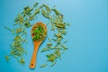 Dried and fresh stevia leaves in a wooden spoon on a blue background.Alternative Low Calorie Sweetener.Sugar substitute Royalty Free Stock Photo