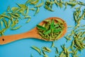 Dried and fresh stevia leaves in a wooden spoon on a blue background.Stevia rebaudiana.Alternative Low Calorie Sweetener Royalty Free Stock Photo