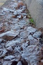 Dried frosted leaves on the ground Royalty Free Stock Photo