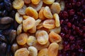 Dried fruit background. Rows of dried dates, apricots,cranberries, nuts, prunes Royalty Free Stock Photo