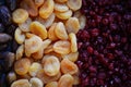 Dried fruit background. Rows of dried dates, apricots,cranberries, nuts, prunes Royalty Free Stock Photo