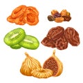 dried fruit food set cartoon vector illustration Royalty Free Stock Photo