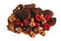 Dried fruit mix Royalty Free Stock Photo