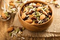 Dried fruit and nuts trail mix Royalty Free Stock Photo