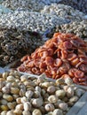 Dried fruit and roasted nuts for sale at the Chorsu market Tashkent