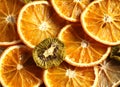 dried fruit slices orange, lemon, kiwi close-up view Royalty Free Stock Photo