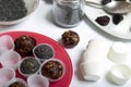 Dried fruit sweets. Balls of prunes, dates and coconut. With a sprinkle of black sesame powder Royalty Free Stock Photo