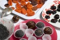 Dried fruit sweets. Balls of prunes, dates and coconut. With a sprinkle of black sesame powder Royalty Free Stock Photo