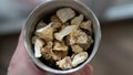 Dried fruiting bodies of Hericium erinaceus mushroom close-up Royalty Free Stock Photo
