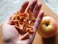 Dried fruits. Dried apple slices in hand near a ripe apple